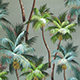 Palm_Trees_Aloe