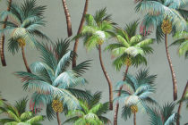 Palm Trees Aloe